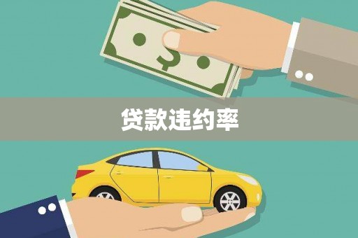 平南贷款违约率