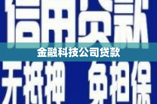 平南金融科技公司贷款