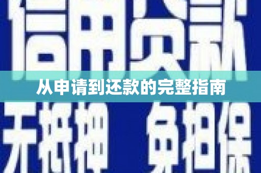 平南从申请到还款的完整指南