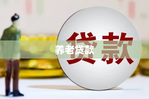 平南养老贷款