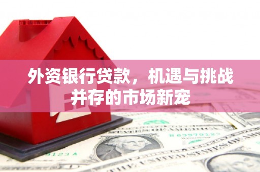 平南外资银行贷款，机遇与挑战并存的市场新宠