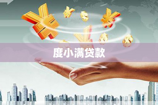 平南度小满贷款