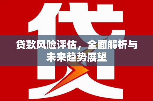 平南贷款风险评估，全面解析与未来趋势展望