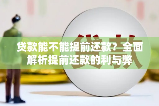 平南贷款能不能提前还款？全面解析提前还款的利与弊