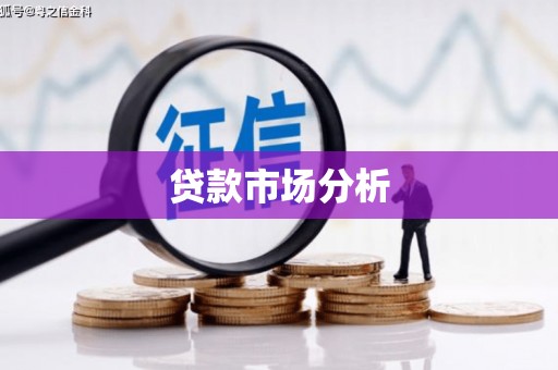 平南贷款市场分析