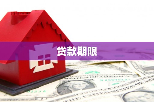 平南贷款期限