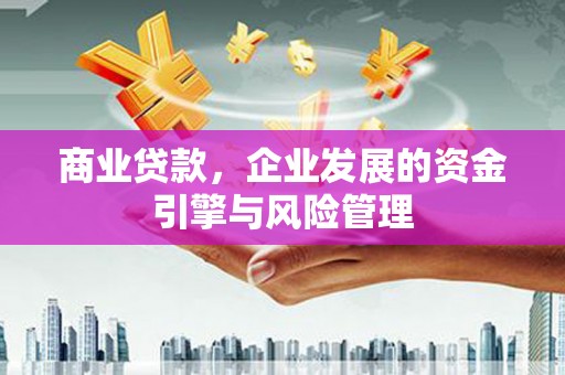 平南商业贷款，企业发展的资金引擎与风险管理