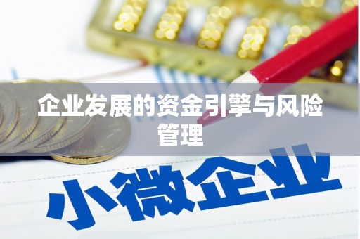 平南企业发展的资金引擎与风险管理