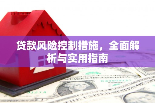 平南贷款风险控制措施，全面解析与实用指南