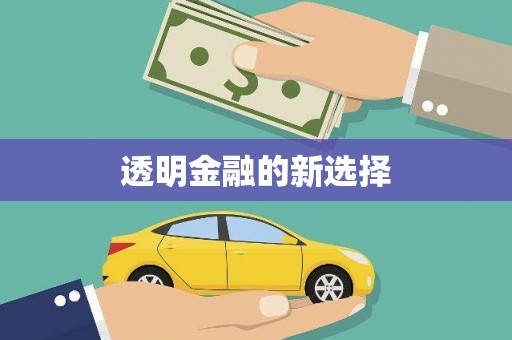 平南透明金融的新选择