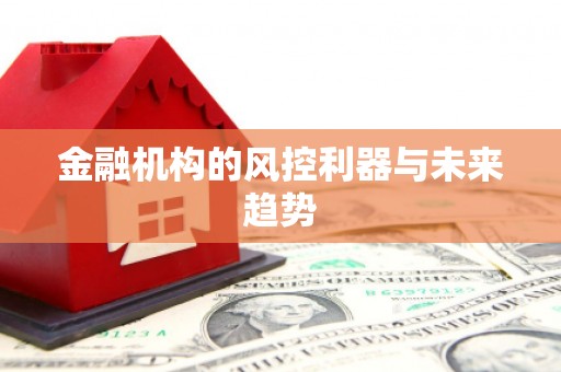平南金融机构的风控利器与未来趋势