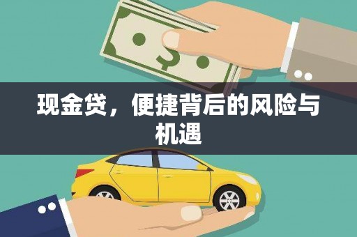 平南现金贷，便捷背后的风险与机遇