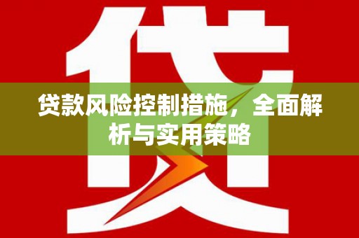 平南贷款风险控制措施，全面解析与实用策略