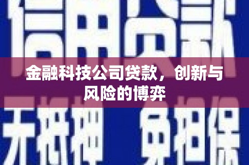 平南金融科技公司贷款，创新与风险的博弈