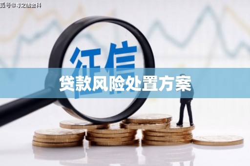 平南贷款风险处置方案