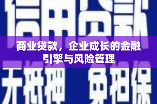 平南商业贷款，企业成长的金融引擎与风险管理