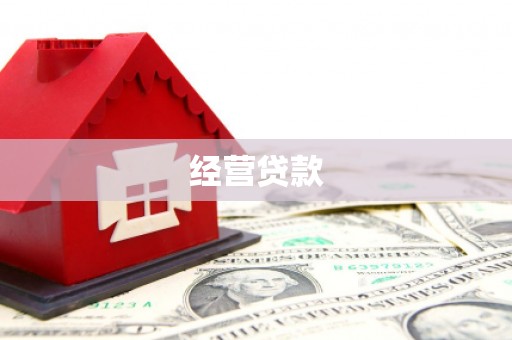 平南经营贷款