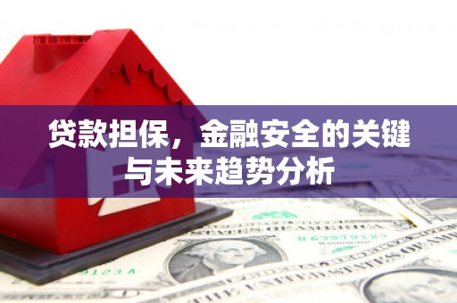 平南贷款担保，金融安全的关键与未来趋势分析