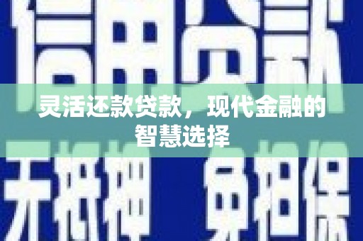 平南灵活还款贷款，现代金融的智慧选择