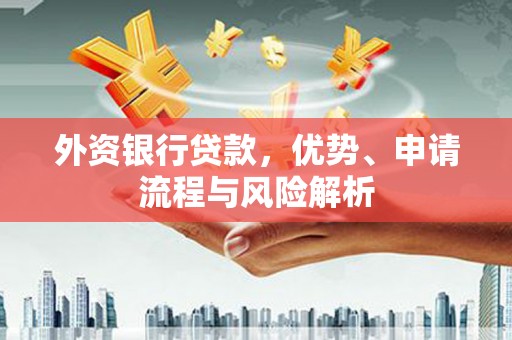 平南外资银行贷款，优势、申请流程与风险解析