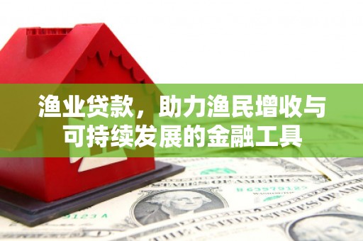 平南渔业贷款，助力渔民增收与可持续发展的金融工具
