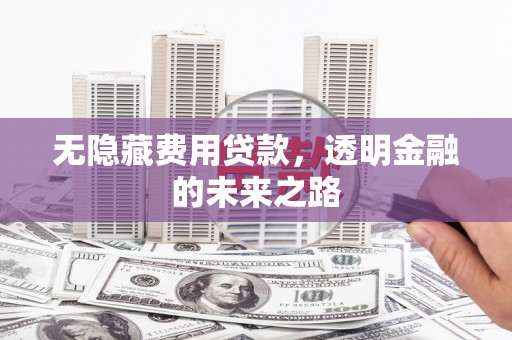 平南无隐藏费用贷款，透明金融的未来之路