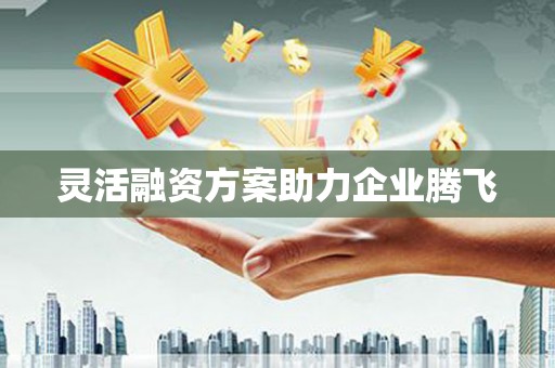 平南灵活融资方案助力企业腾飞