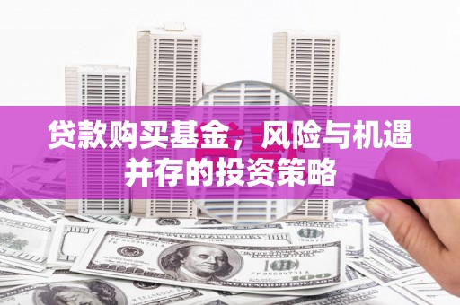 平南贷款购买基金，风险与机遇并存的投资策略