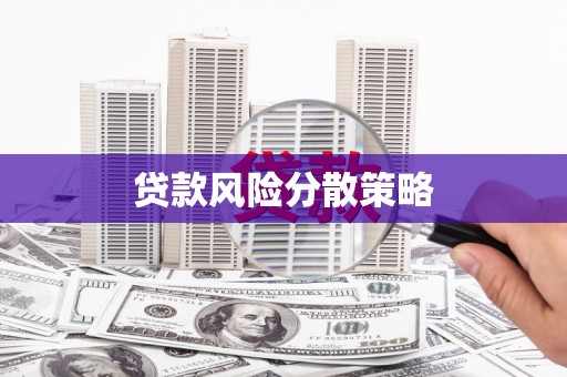 平南贷款风险分散策略