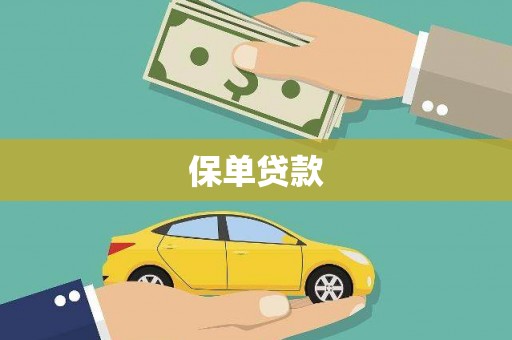 平南保单贷款