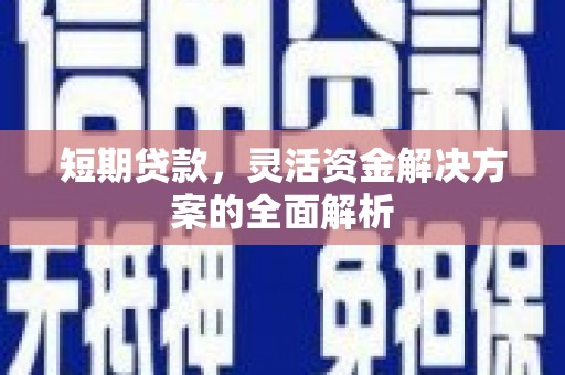 平南短期贷款，灵活资金解决方案的全面解析