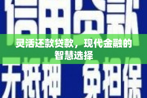 平南灵活还款贷款，现代金融的智慧选择
