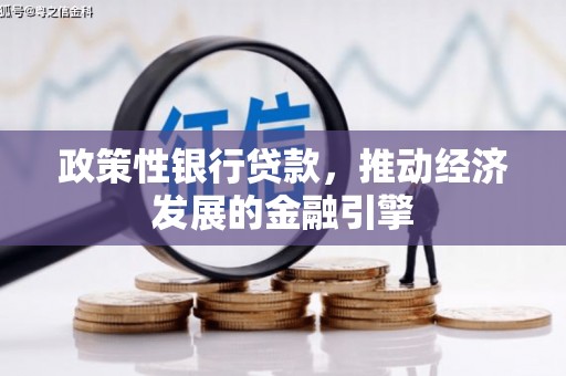 平南政策性银行贷款，推动经济发展的金融引擎