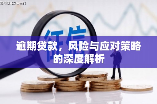 平南逾期贷款，风险与应对策略的深度解析