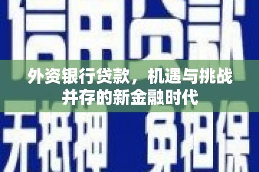 平南外资银行贷款，机遇与挑战并存的新金融时代