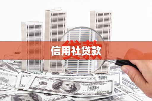 平南信用社贷款