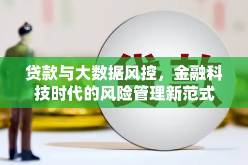 平南贷款与大数据风控，金融科技时代的风险管理新范式
