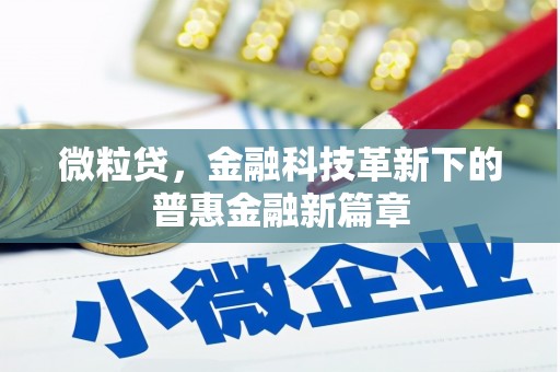平南微粒贷，金融科技革新下的普惠金融新篇章