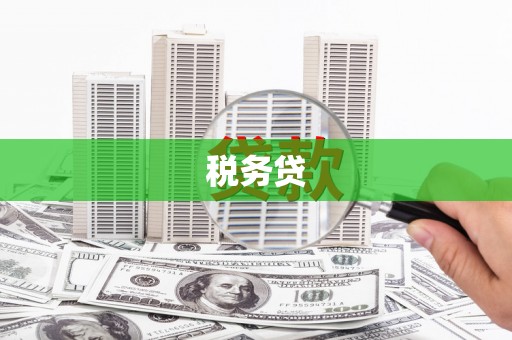 平南税务贷