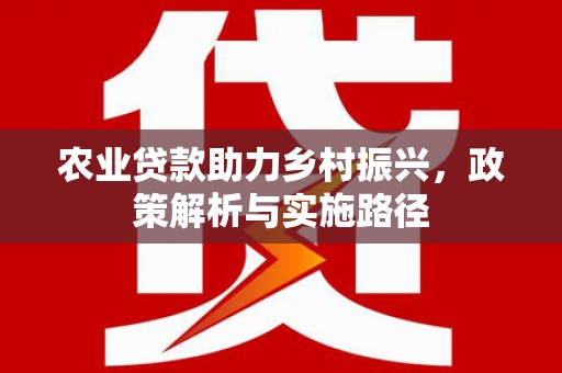 平南农业贷款助力乡村振兴，政策解析与实施路径