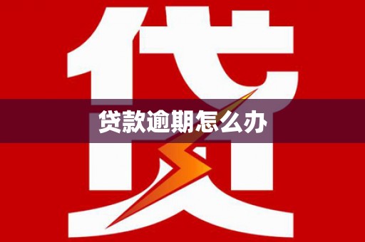 平南贷款逾期怎么办