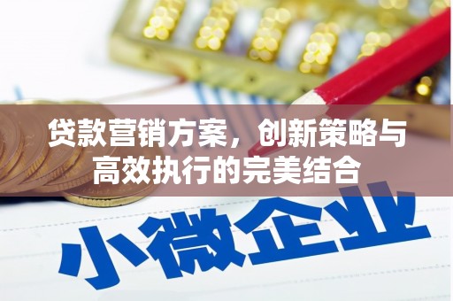 平南贷款营销方案，创新策略与高效执行的完美结合