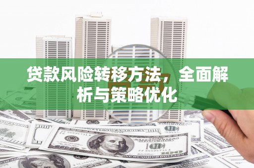 平南贷款风险转移方法，全面解析与策略优化