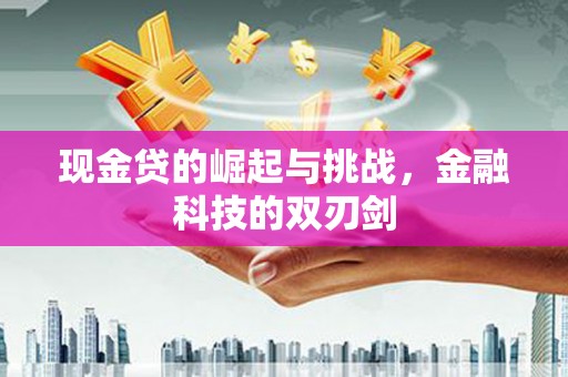 平南现金贷的崛起与挑战，金融科技的双刃剑