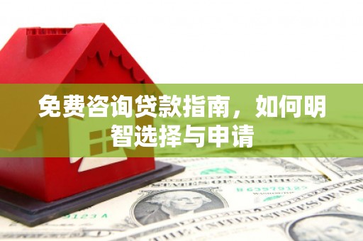 平南免费咨询贷款指南，如何明智选择与申请