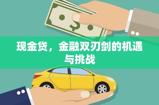 平南现金贷，金融双刃剑的机遇与挑战