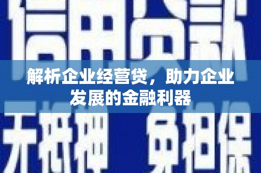 平南解析企业经营贷，助力企业发展的金融利器