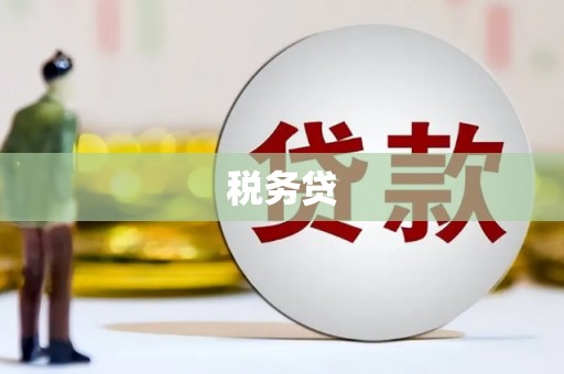 平南税务贷
