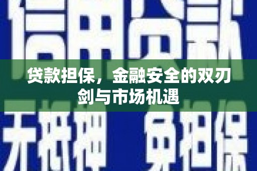 平南贷款担保，金融安全的双刃剑与市场机遇