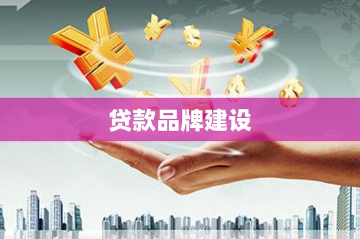 平南贷款品牌建设